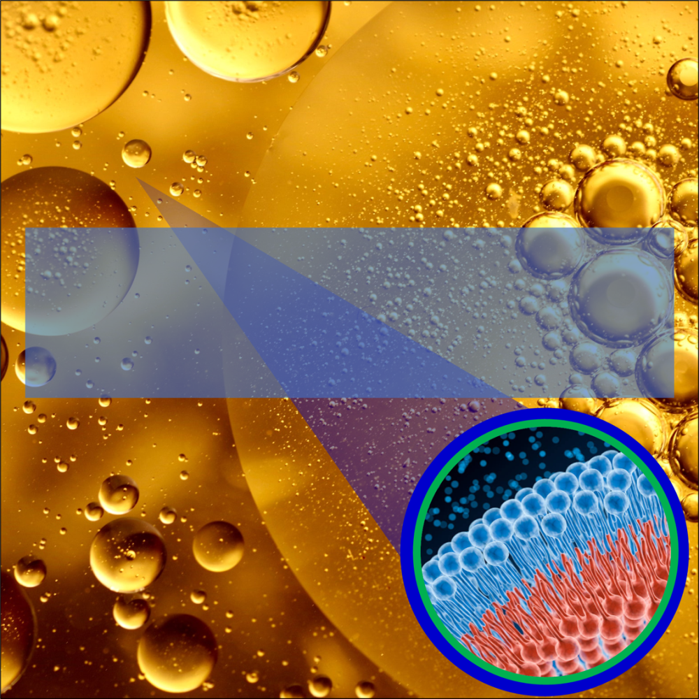 A course image with oil, lipids, and course title